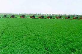 تحليل التربة والتسويق